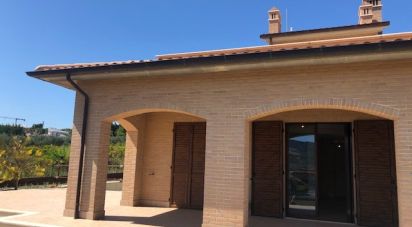 Casa indipendente / Villa 15 locali di 384 m² in Monteprandone (63076)