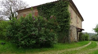Casa indipendente 26 locali di 830 m² in Castelfranco di Sopra (52020)