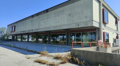 Other surface of 2,500 m² in San Benedetto del Tronto (63074)
