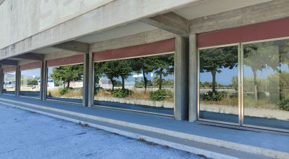 Other surface of 2,500 m² in San Benedetto del Tronto (63074)