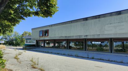 Other surface of 2,500 m² in San Benedetto del Tronto (63074)