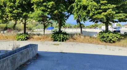 Other surface of 2,500 m² in San Benedetto del Tronto (63074)