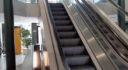 Offices of 46 m² in Foligno (06034)