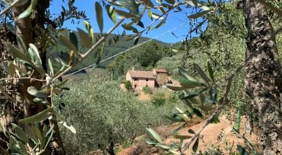 House 15 rooms of 250 m² in Buti (56032)