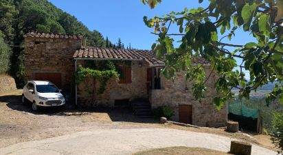 House 15 rooms of 250 m² in Buti (56032)