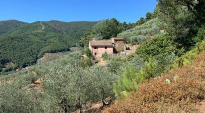 House 15 rooms of 250 m² in Buti (56032)