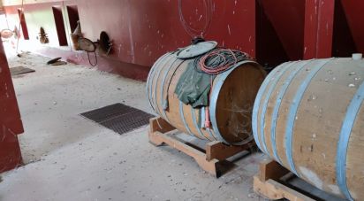 Warehouse of 1,200 m² in Cossignano (63067)