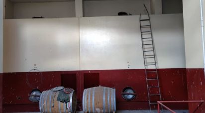 Warehouse of 1,200 m² in Cossignano (63067)