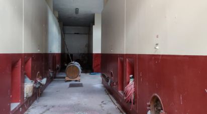 Warehouse of 1,200 m² in Cossignano (63067)