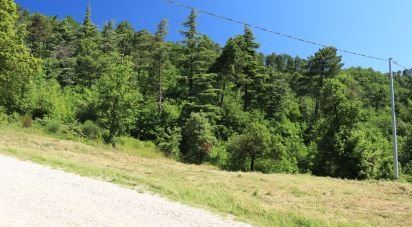 Land of 10,213 m² in Lisciano Niccone (06060)