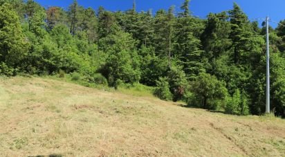 Land of 10,213 m² in Lisciano Niccone (06060)