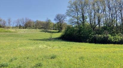 Building plot of 35,000 m² in Apecchio (61042)