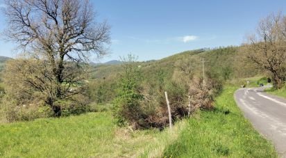 Building plot of 35,000 m² in Apecchio (61042)