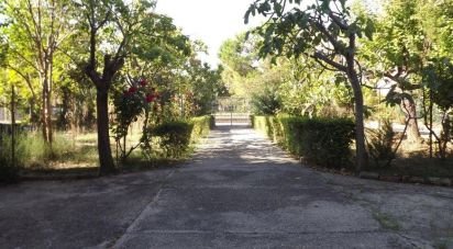 Traditional house 9 rooms of 160 m² in Pescara (65129)