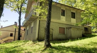 House 7 rooms of 160 m² in Apecchio (61042)