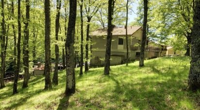 House 7 rooms of 160 m² in Apecchio (61042)