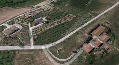 Terreno agricolo di 2.900 m² in Atri (64032)