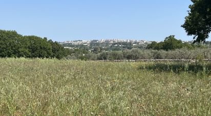 Terreno agricolo di 4.258 m² in Ostuni (72017)