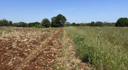 Terreno agricolo di 4.258 m² in Ostuni (72017)