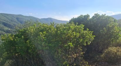 Terreno di 3.000 m² in Vado Ligure (17047)