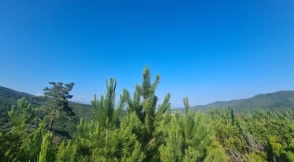 Terreno di 3.000 m² in Vado Ligure (17047)