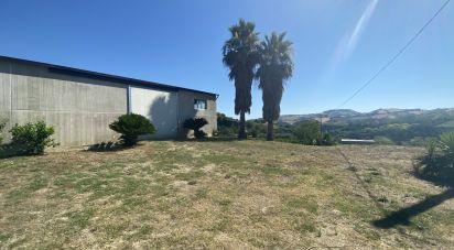 Rustico 12 locali di 450 m² in Petritoli (63848)