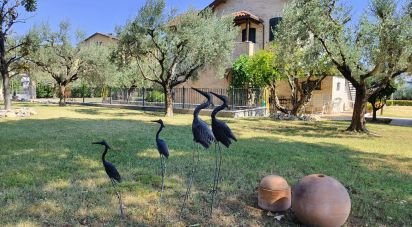 Townhouse 8 rooms of 320 m² in Ascoli Piceno (63100)