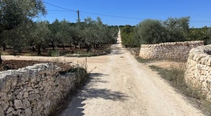 Terreno di 5.500 m² in Ostuni (72017)