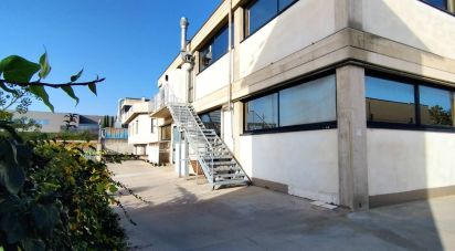 Varie superfici di 528 m² in Porto Sant'Elpidio (63821)