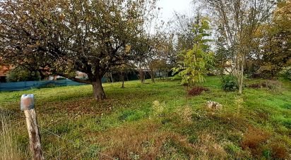 Land of 1,137 m² in Cureggio (28060)