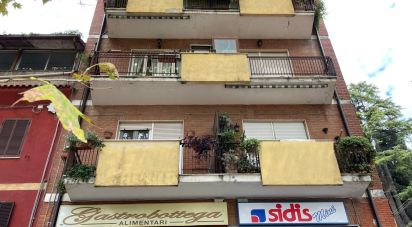 Two-room apartment of 50 m² in Ciciliano (00020)