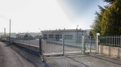 Warehouse of 981 m² in Montefano (62010)