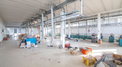 Warehouse of 981 m² in Montefano (62010)