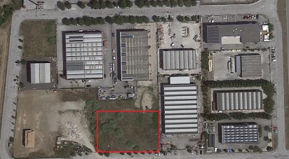 Land of 3,800 m² in Montemarciano (60018)