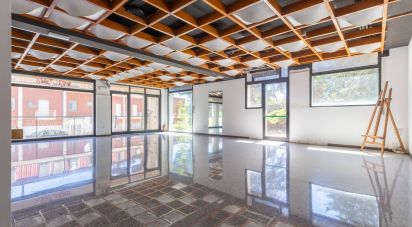 Shop / premises commercial of 156 m² in Castelfidardo (60022)