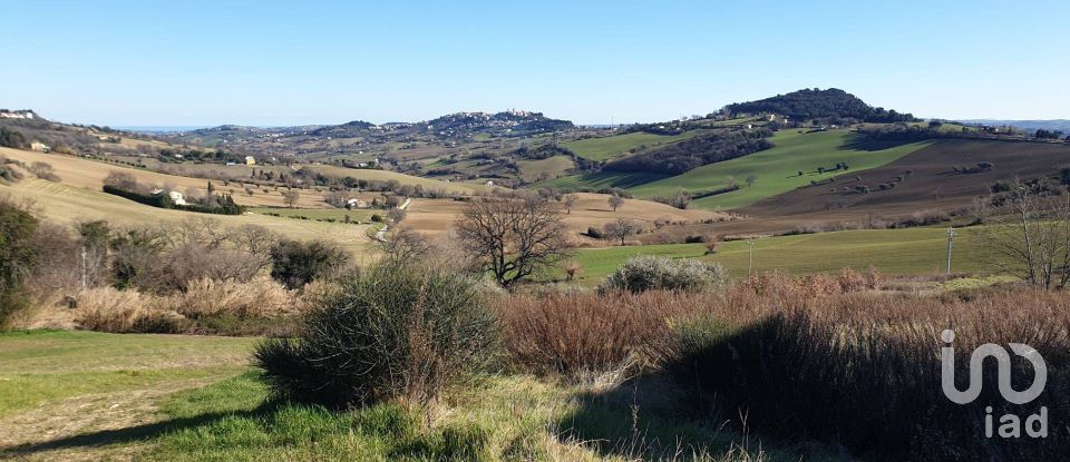 Land of 28,415 m² in Osimo (60027)