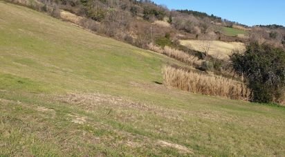 Terreno di 28.415 m² in Osimo (60027)