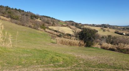 Terreno di 28.415 m² in Osimo (60027)