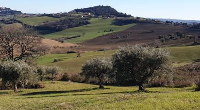 Terreno di 28.415 m² in Osimo (60027)