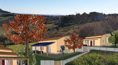 Terreno di 28.415 m² in Osimo (60027)