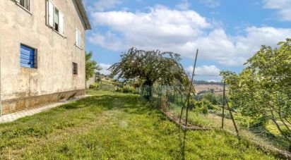 Casa indipendente 11 locali di 340 m² in Filottrano (60024)