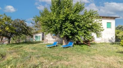 Casa indipendente 11 locali di 340 m² in Filottrano (60024)