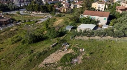 Land of 10,025 m² in Filottrano (60024)