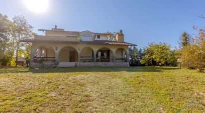 Casale 9 locali di 330 m² in Sassoferrato (60041)