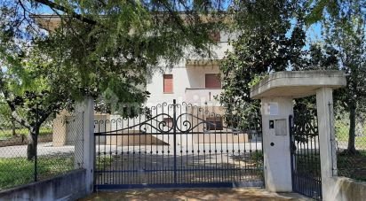 Casa indipendente / Villa 7 locali di 336 m² in Nereto (64015)