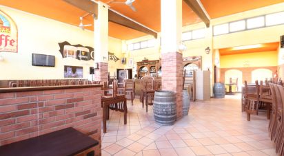 Birreria di 200 m² in Rivarolo Canavese (10086)
