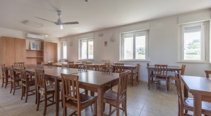 Costruzione di 3.885 m² in Osimo (60027)