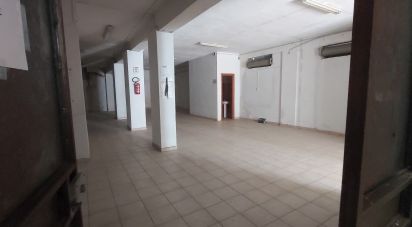 Varie superfici di 240 m² in Amantea (87032)