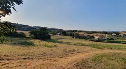 Terreno di 30.000 m² in Castelfidardo (60022)