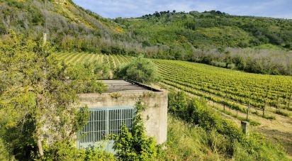 Country home 0 rooms of 400 m² in Controguerra (64010)